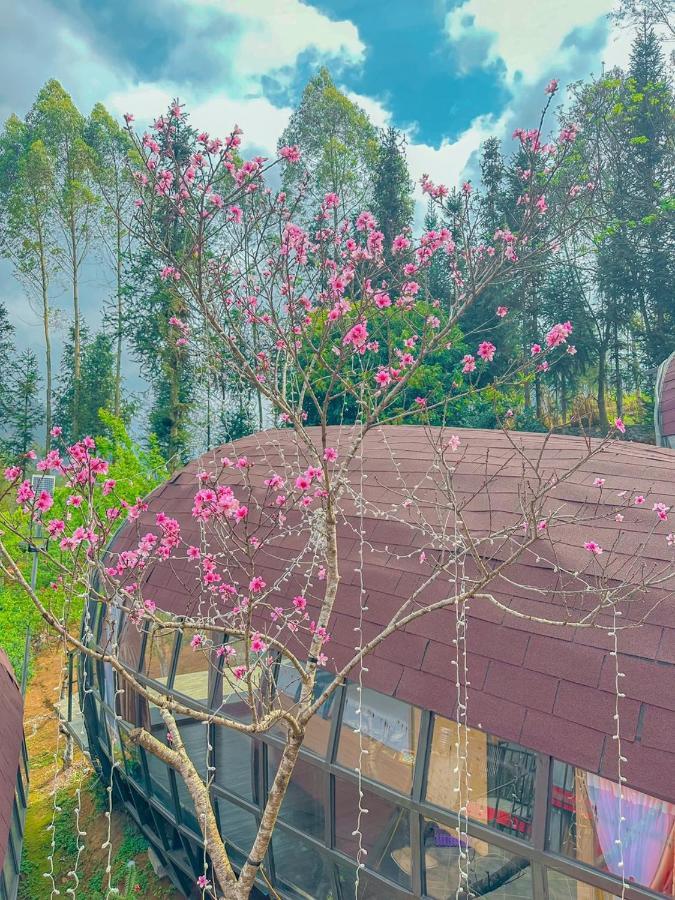 Plum Homestay Dong Van  Kültér fotó