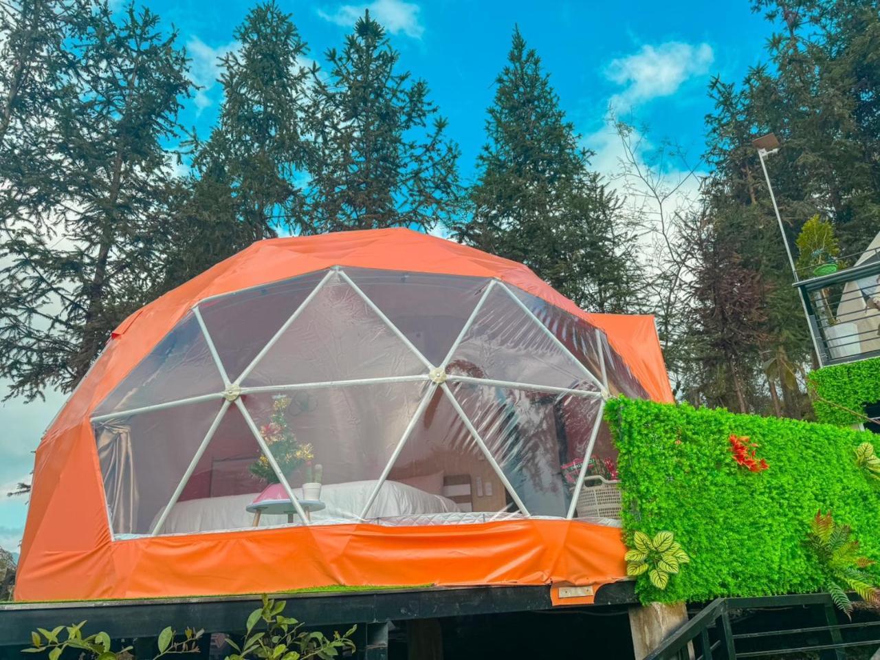 Plum Homestay Dong Van  Kültér fotó